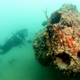 Image for article titled A Rare Glimpse of a US Seaplane Lost In the First Minutes of the Pearl Harbor Attack